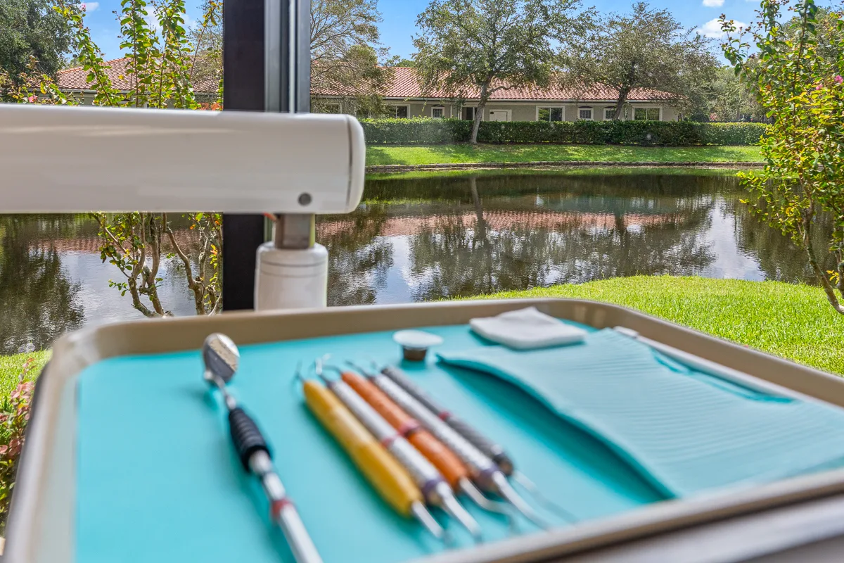 Dental instrument tray with a lake view at Jean Chang-Lowe, DDS
